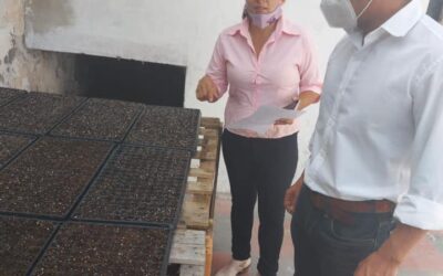 Secretario de Gobierno y Hacienda recorrió la producción de plantines de temporada