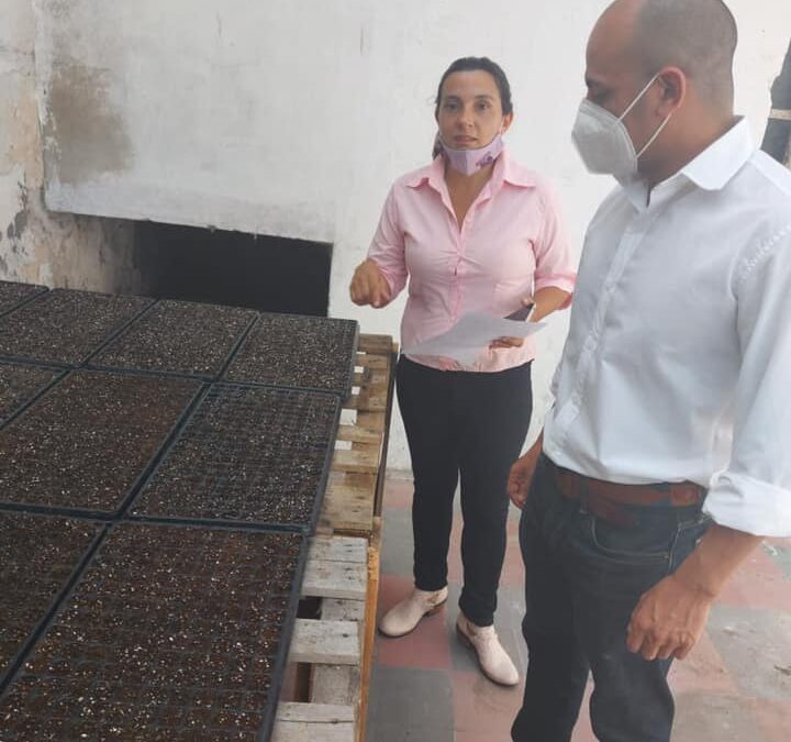 Secretario de Gobierno y Hacienda recorrió la producción de plantines de temporada