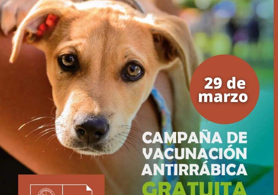 Jornada de Vacunación antirrábica y antiparasitaria.