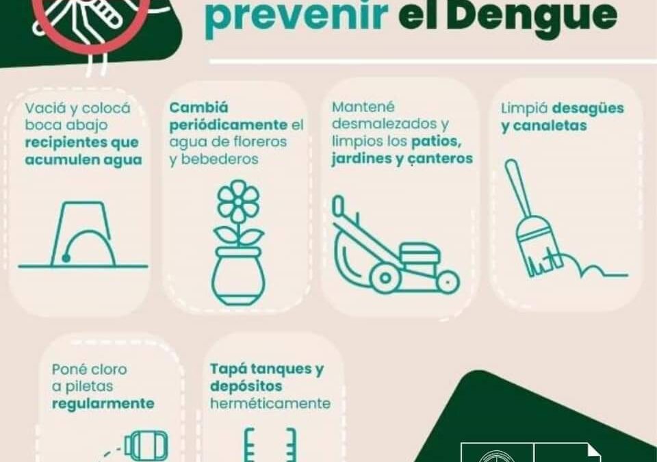 Operativos de fumigación y desinfección en instituciones educativas y sociales.