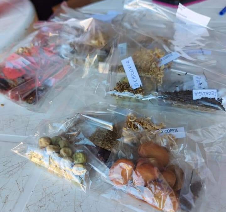 Prohuertá en Santa Elena – distribución de semillas.