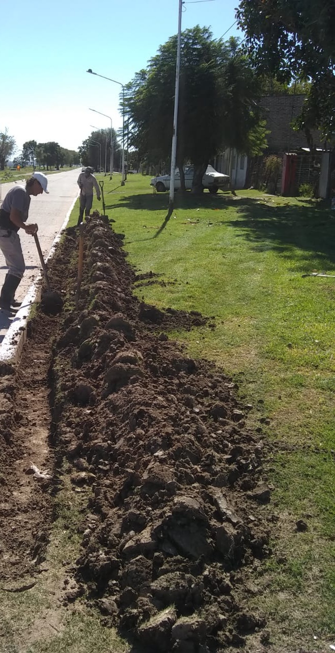 WhatsApp Image 2021-04-08 at 11.46.59