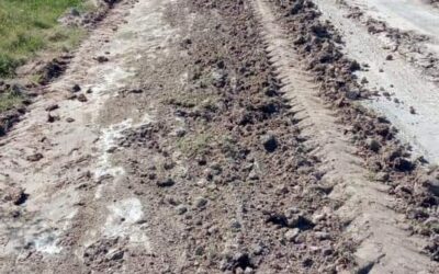 Realizan mantenimiento y mejoras en caminos productivos en Santa Elena.