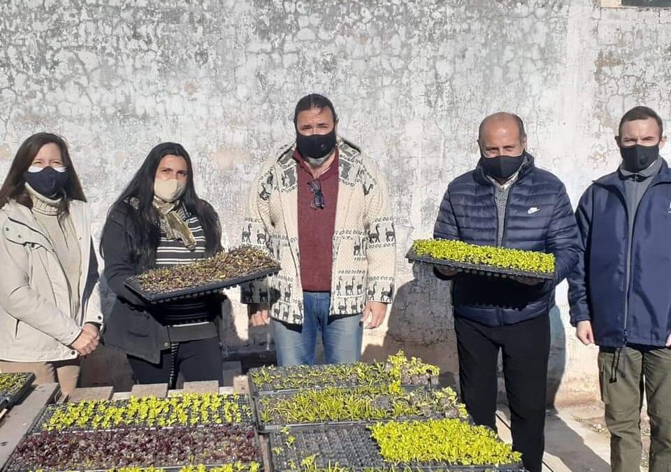 Entrega de plantines a miembros del programa de agricultura familiar