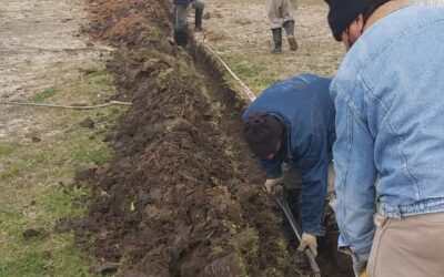 Tareas preliminares para la distribución por tanque de agua dulce en barrio 120 viviendas.