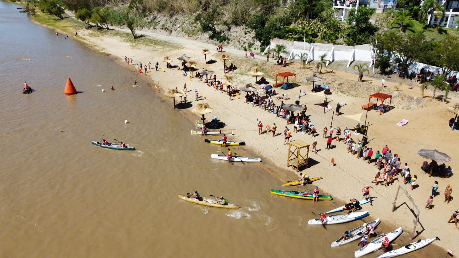 WhatsApp Image 2023-03-03 at 09.53.08