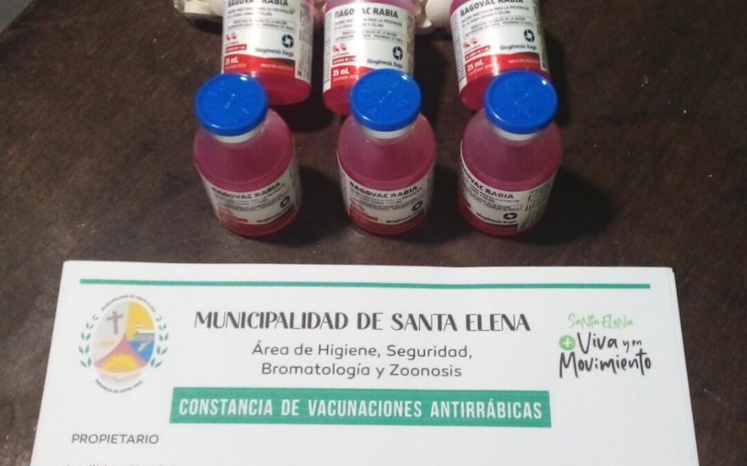APORTE MUNICIPAL DESTINADO A CASTRACIONES PARA ANIMALES EN SITUACIÓN DE CALLE
