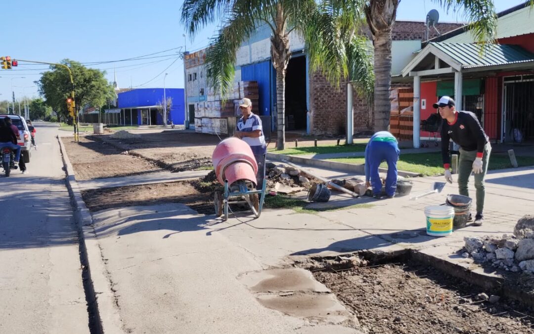 Renovación y optimización de veredas en calle Paraná.