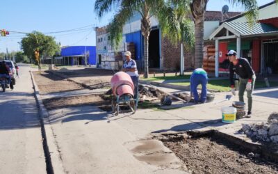 Renovación y optimización de veredas en calle Paraná.