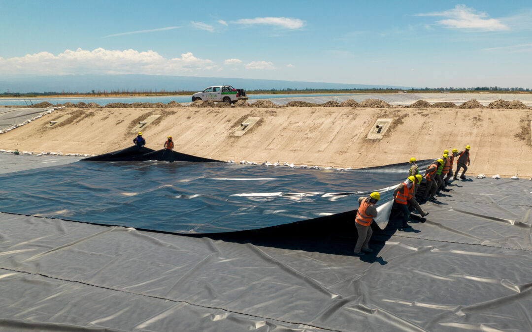 CONSULTA PÚBLICA SIGNIFICATIVA