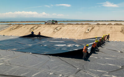 CONSULTA PÚBLICA SIGNIFICATIVA