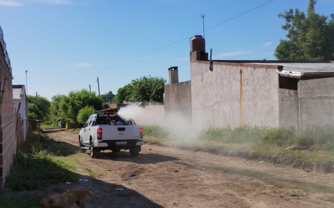 FUMIGACIONES PREVENTIVAS EN LA CIUDAD